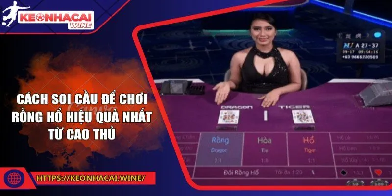 Cách soi cầu để chơi Rồng Hổ hiệu quả nhất từ cao thủ